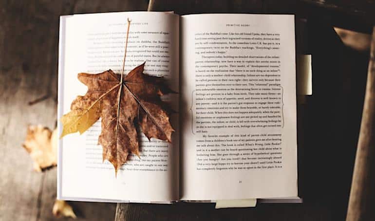 Что почитать осенью