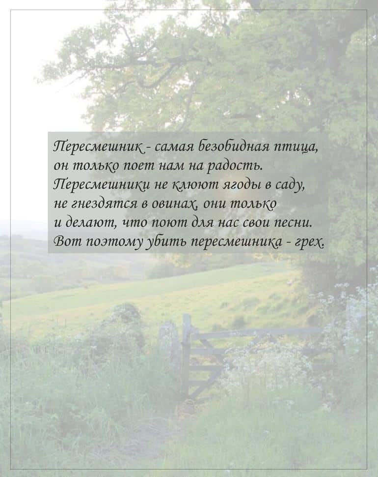 Американская классика. Пять романов из рубрики маст-рид. Фото №5